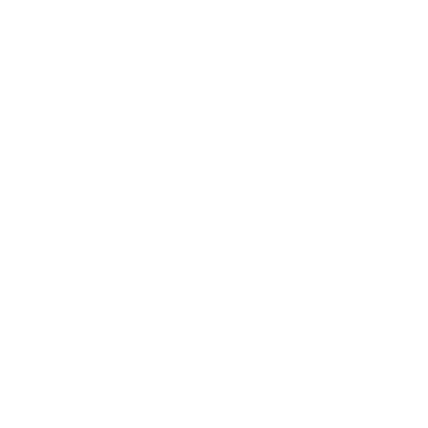 logo (1)